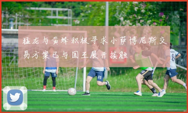 猛龙与黄蜂积极寻求小萨博尼斯交易方案已与国王展开接触