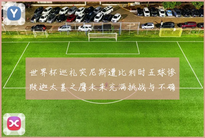 世界杯巡礼突尼斯遭比利时五球惨败迦太基之鹰未来充满挑战与不确定性