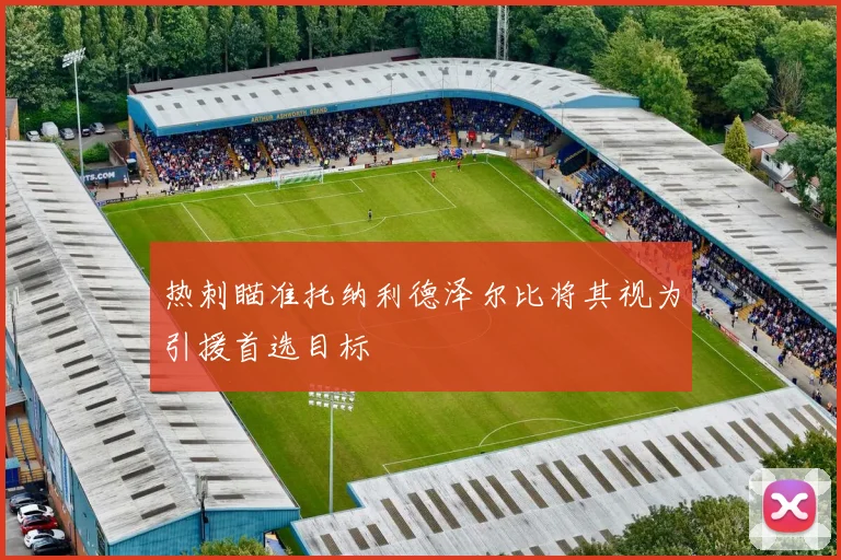 热刺瞄准托纳利德泽尔比将其视为引援首选目标