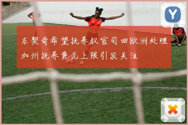东契奇希望抚养权官司回欧洲处理加州抚养费无上限引发关注
